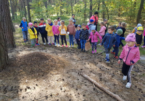 dzieci w lesie stoją wokół mrowiska